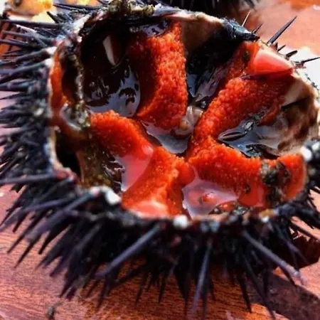 Familyholidays La Finestra Di Fronte Apartment Cefalu