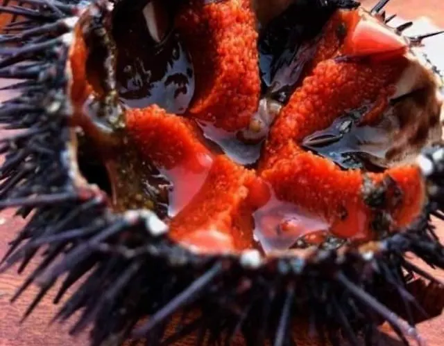 Familyholidays La Finestra Di Fronte Διαμέρισμα Cefalù